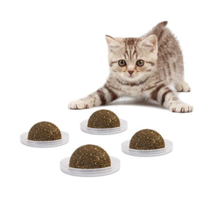 Pet Cat Natural Catnip Treat Ball Favor hang on wall Home Chasing Toys Safe Edible Treating Supplies Can Be Sticky On Wall