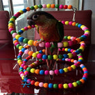 New Funny Rainbow Bead 100CM Swing Parrot Bird Ladder Wooden Pet Toy Pet Accessories