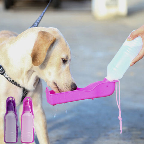 Pet Dog Cat Portable Plastic Feeding Bowl Travel Water Bottle Dispenser Feeder G