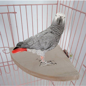 Pet Bird Parrot Wood Platform Stand Rack Toy Hamster Branch Perches For Bird Cage Toys 3 Sizes Pet Supplies