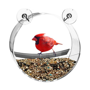 Bird Feeder Acrylic Transparent Food Box Round Hanging Sparrow Parrot Seed Peanut Feeding Bird House Window Suction Cup Tool