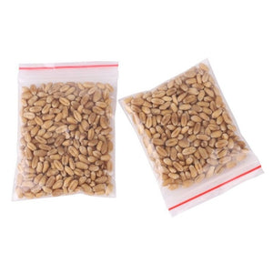 300pcs/Pack Cat Grass Seed 100% High Quality And High Survival Rate Natural Cat Grass Seeds Cat Hairball Control Toy