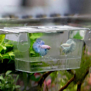 Acrylic Fish Tank Breeding Isolation Box Aquarium Hatchery Incubator Holder Transparent Box Holder Aquarium Accessories