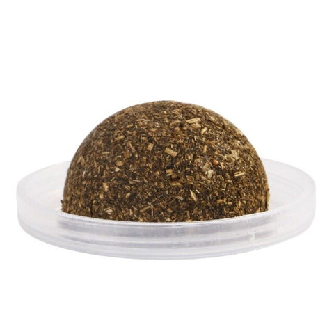 Pet Cat Natural Catnip Treat Ball Favor hang on wall Home Chasing Toys Safe Edible Treating Supplies Can Be Sticky On Wall