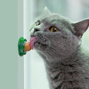 Cat Catnip Licking Candy for Kitten Increase Drinking Energy Ball Snack Increase Drinking Water Help Digestion