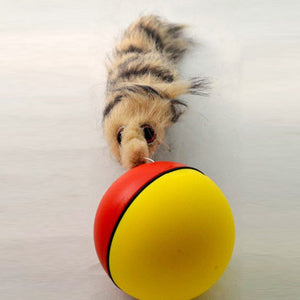 NEW  Pet Toys Funny Moving Attractive Electric Beaver Rolling Ball Pet Dog Cat Toy Jump Moving Self Rolling Beaver Ball Toy