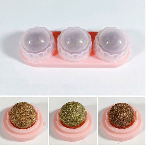 Pet Cat Natural Catnip Treat Ball Favor hang on wall Home Chasing Toys Safe Edible Treating Supplies Can Be Sticky On Wall