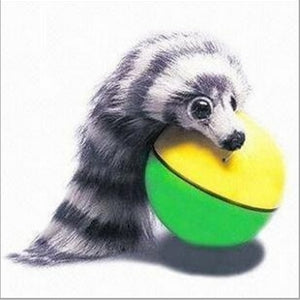 Best Cat Toys Interactive Teaser Chase Moving Weasel Roll Ball Battery Operated