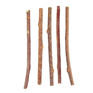 NEW 5/10/20pcs Pure Natural Catnip Pet Cat Toy Molar Toothpaste Branch Cleaning Teeth Silvervine Cat Snacks Stick Pet Supplies 4