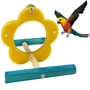 Bird Mirror Creative Flower Shape Acrylic Parrot Mirror Toy Bird Cage Toy Flower Shape Bird Mirror Parrot Toys