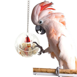 Pet Birds Parrots Toys Hanging Ball Toys Food Leaker Feeder Ball Foraging Chain Cage Pendant Birds Ball Toys Bird Suppliers