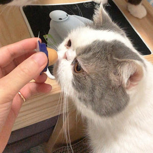 1PCS Healthy Cat Snacks Catnip Sugar Candy Licking Nutrition Gel Energy Ball Toy for Cats Kittens Increase Drinking Water Help