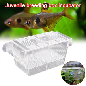 Acrylic Aquarium Tank Incubator Multi-purpose Juvenile Breeding Box Isolation Box Aquarium Fish Breeding Box Pet Fish Tank