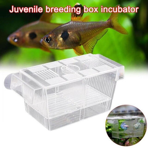 Acrylic Aquarium Tank Incubator Multi-purpose Juvenile Breeding Box Isolation Box Aquarium Fish Breeding Box Pet Fish Tank