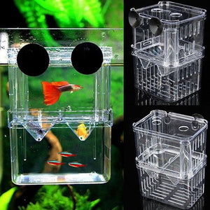 Aquarium Fish Breeding Box Pet Fish Tank Guppy Double Breeding Breeder Rearing Hatchery Splits Fish Tank Turtle Reptile House