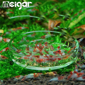 Clear Glass Shrimp Feeding Food Dish Feeder Tray Round Container Aquarium Fish Tank Feeding Bowls Feeding Tropical Fish Ratfish