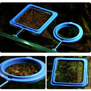 Feeding Ring Aquarium Fish Tank Station Floating Food Tary Feeder Square/Circle