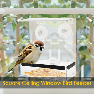 New Transparent Acrylic Weatherproof Bird Feeder Ceiling Window Adsorption House Shape Squirrel Proof Birds Feeder Dropshipping