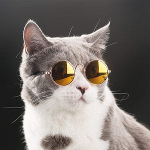 Cool Stylish and Funny Cute Pet Sunglasses Classic Retro Circular Metal Prince Sunglasses for Cat Chihuahua or Small Dogs