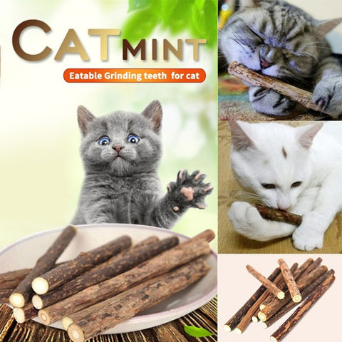 Cat clean teeth Pure natural catnip pet cat molar Toothpaste stick silvervine actinidia fruit Matatabi cat snacks sticks