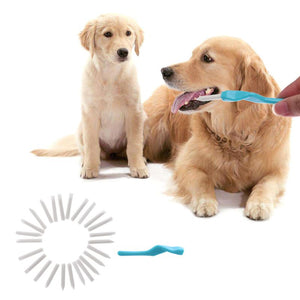 25pcs/set Toothpicks Tooth Brush for Dogs Pet Cat Dog Oral Teeth Deep Cleaning Pet Dog Puppy Toothbrush