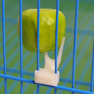 2pcs/lot Fruit Fork Bird Feeder For parrots Pet Bird Supplies Plastic Food Holder Feeding On Cage 2 Size M/L drop shipping