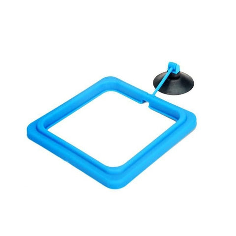 New Aquarium Feeding Ring Fish Tank Station Floating Food Tray Feeder Square Circle Accessory Water Plant Buoyancy Suction Cup 2